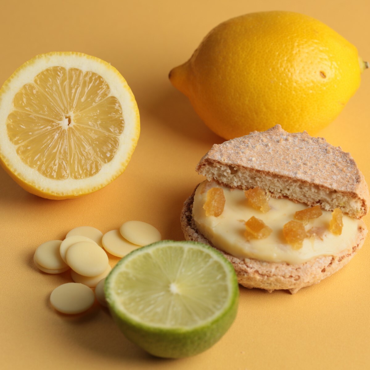 達克瓦茲禮盒（檸檬達克6入+芒果達克6入）