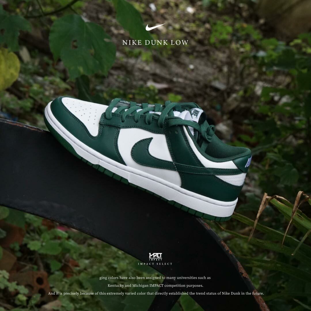 Nike Dunk Low 森林綠 男款 DD1391-101