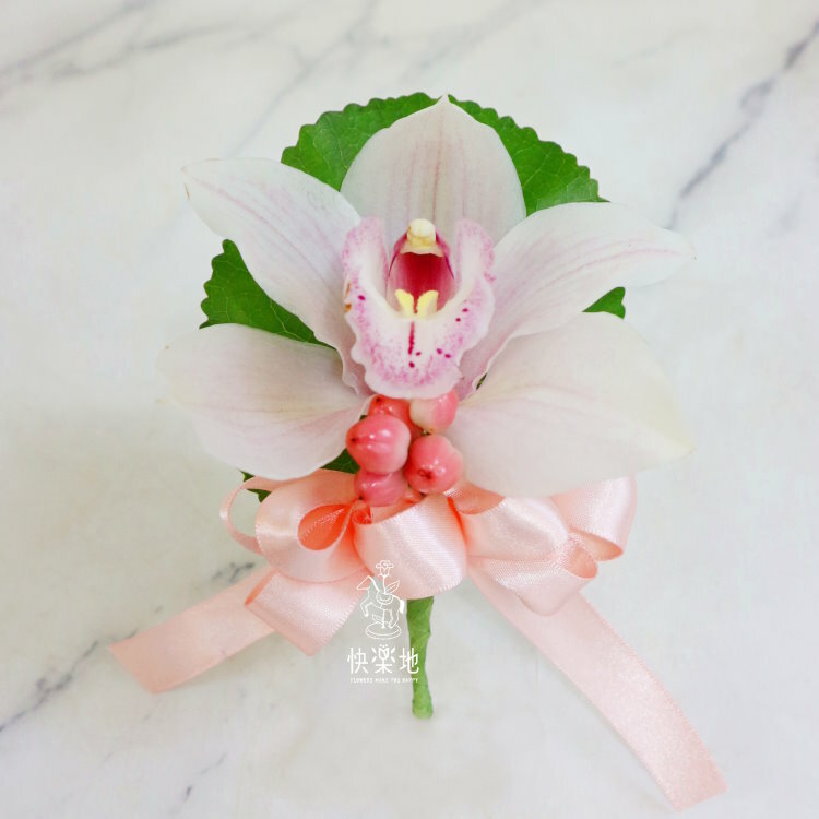 舒和✵東亞蘭胸花  AF240984