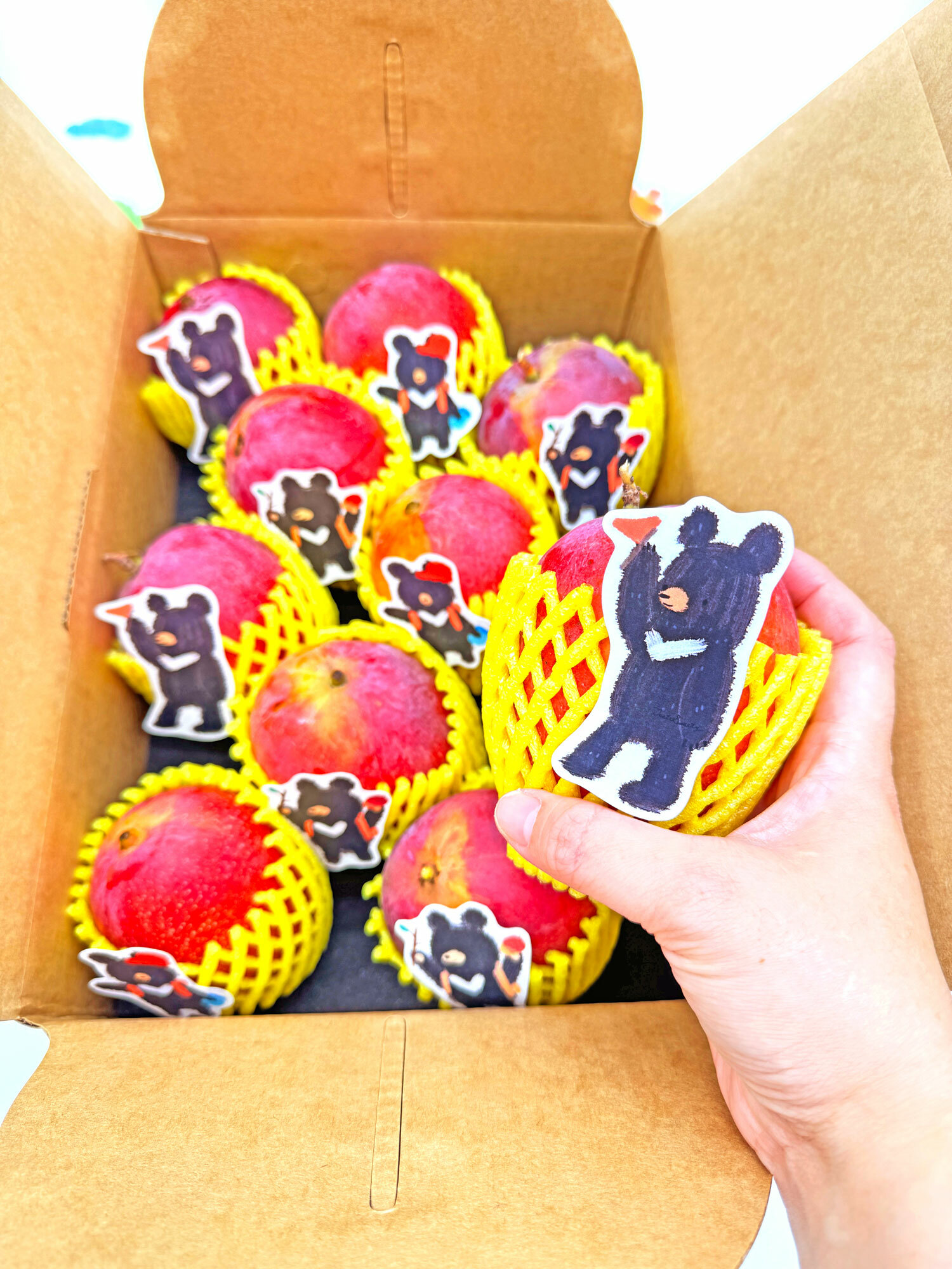 山林遠足熊枋山愛文芒果禮盒特級10粒5台斤裝(7-8台兩/粒)