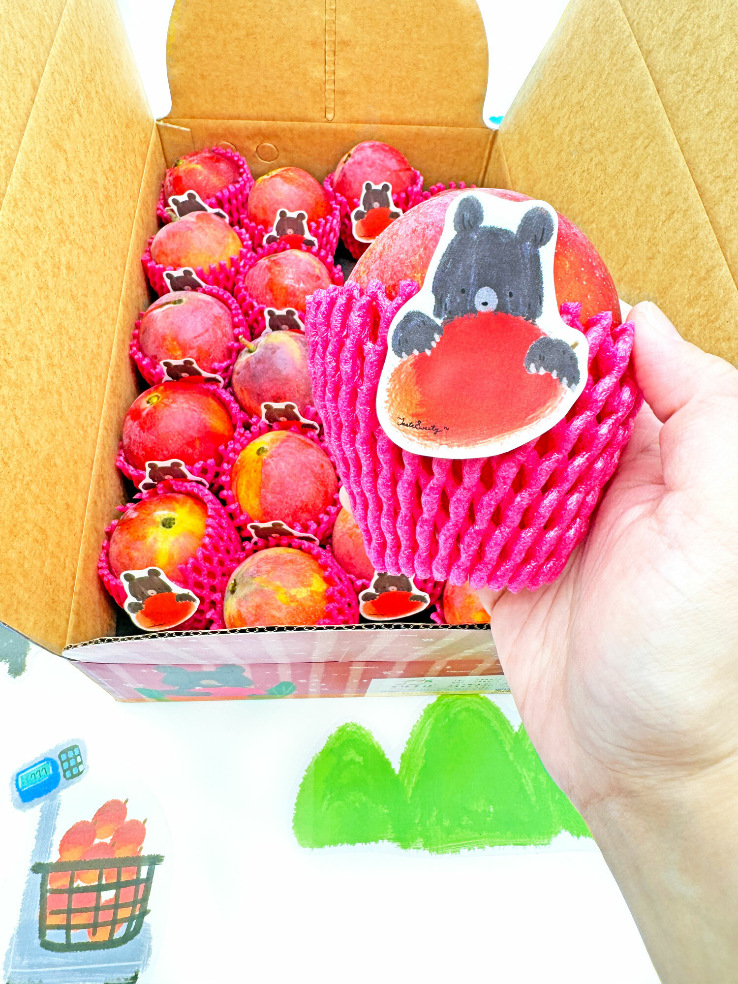 格紋芒果熊枋山愛文芒果禮盒特級20粒10台斤裝(7-8台兩/粒)