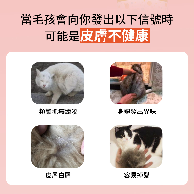 Lovetail -寵物專用酵素二合一洗護香波-天然有機洗護系列 貓狗通用 毛孩沐浴露