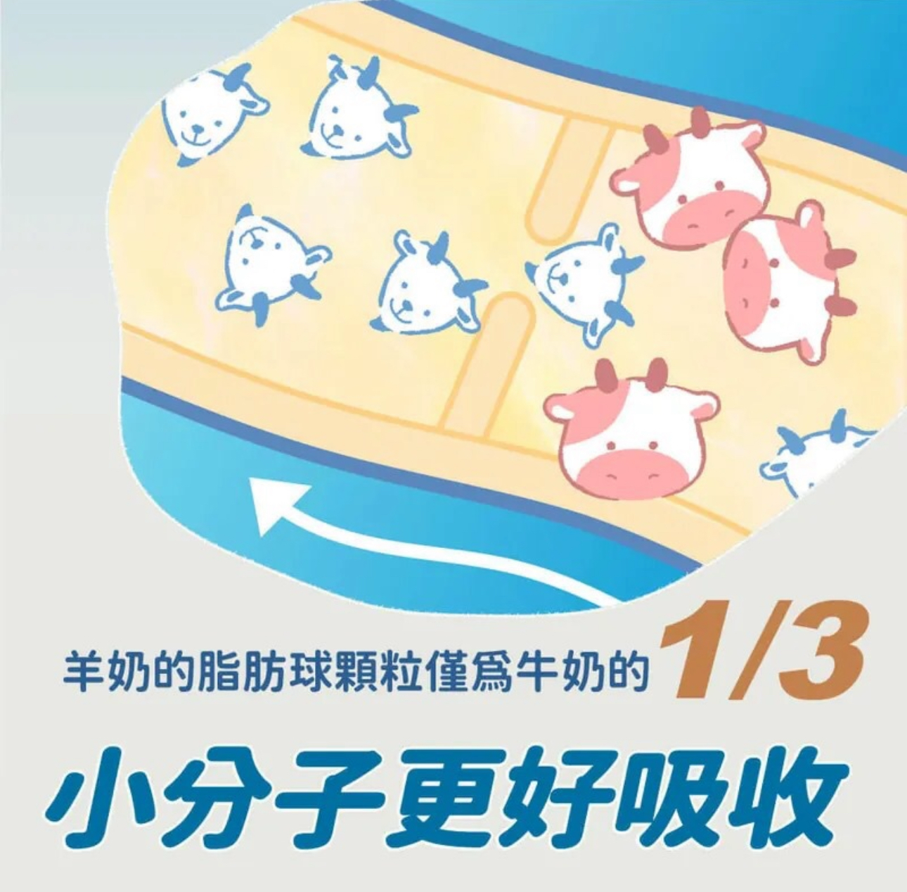 台灣Blue Bay倍力頂級羊奶粉-180g (挑食剋星-狗貓奶粉)