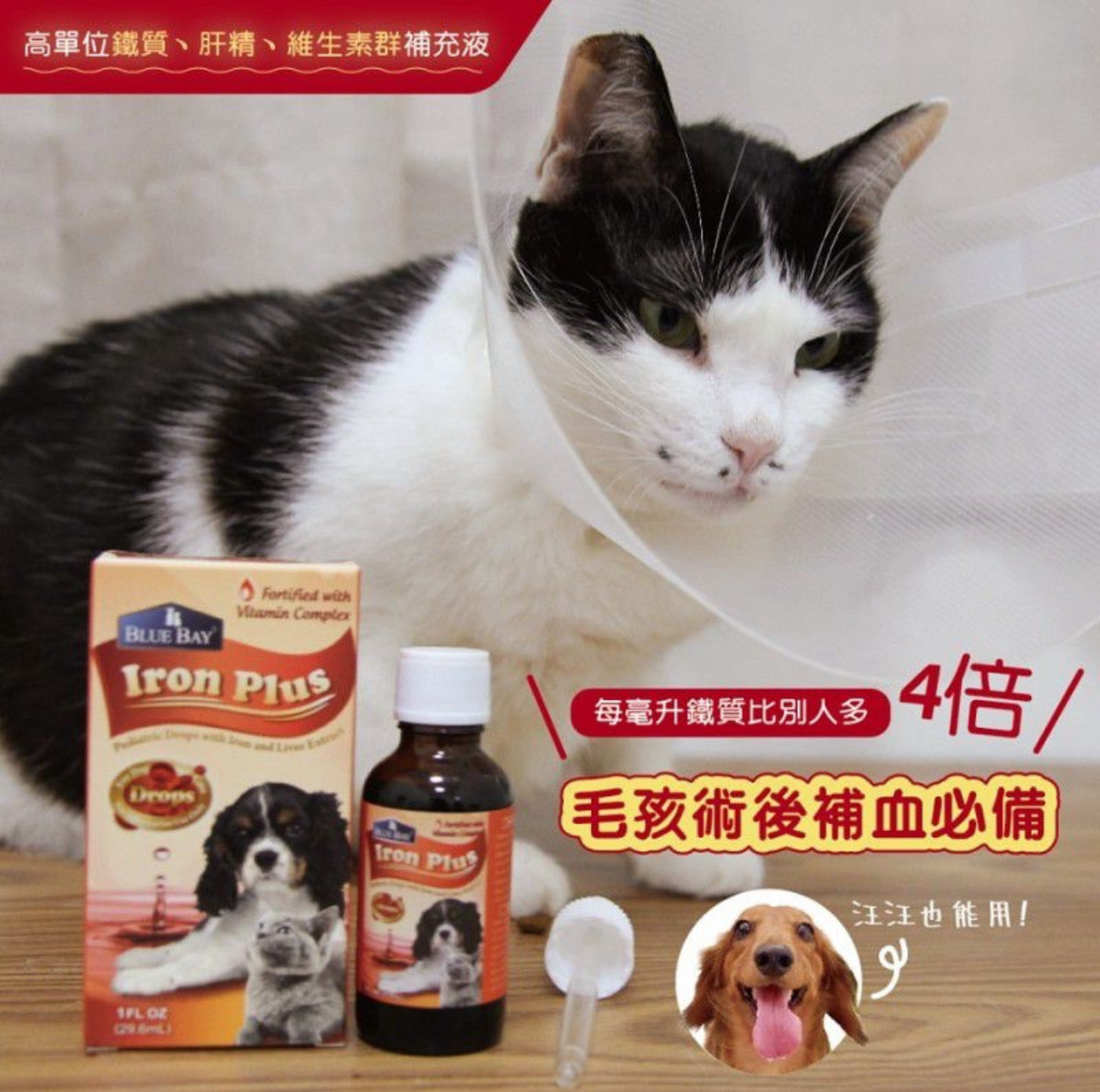 台灣Blue Bay-Iron Plus 倍力滴補口服液 30ml (貓狗適用)