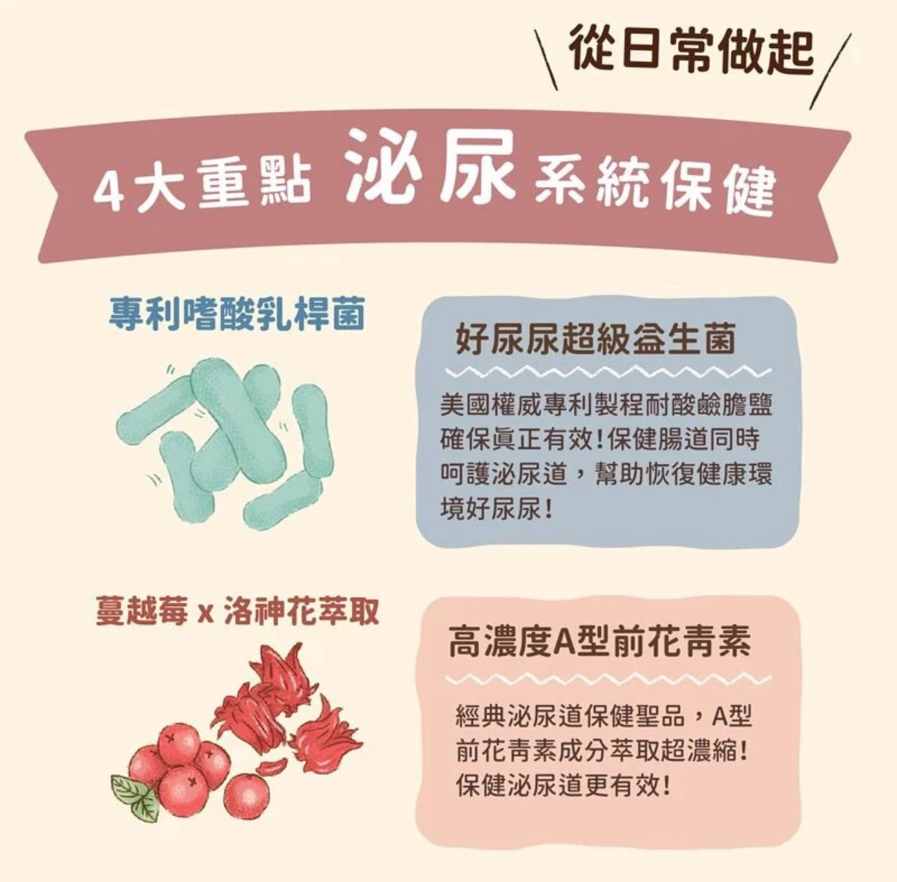 台灣Blue Bay倍力優泌力 60g（貓狗適用）