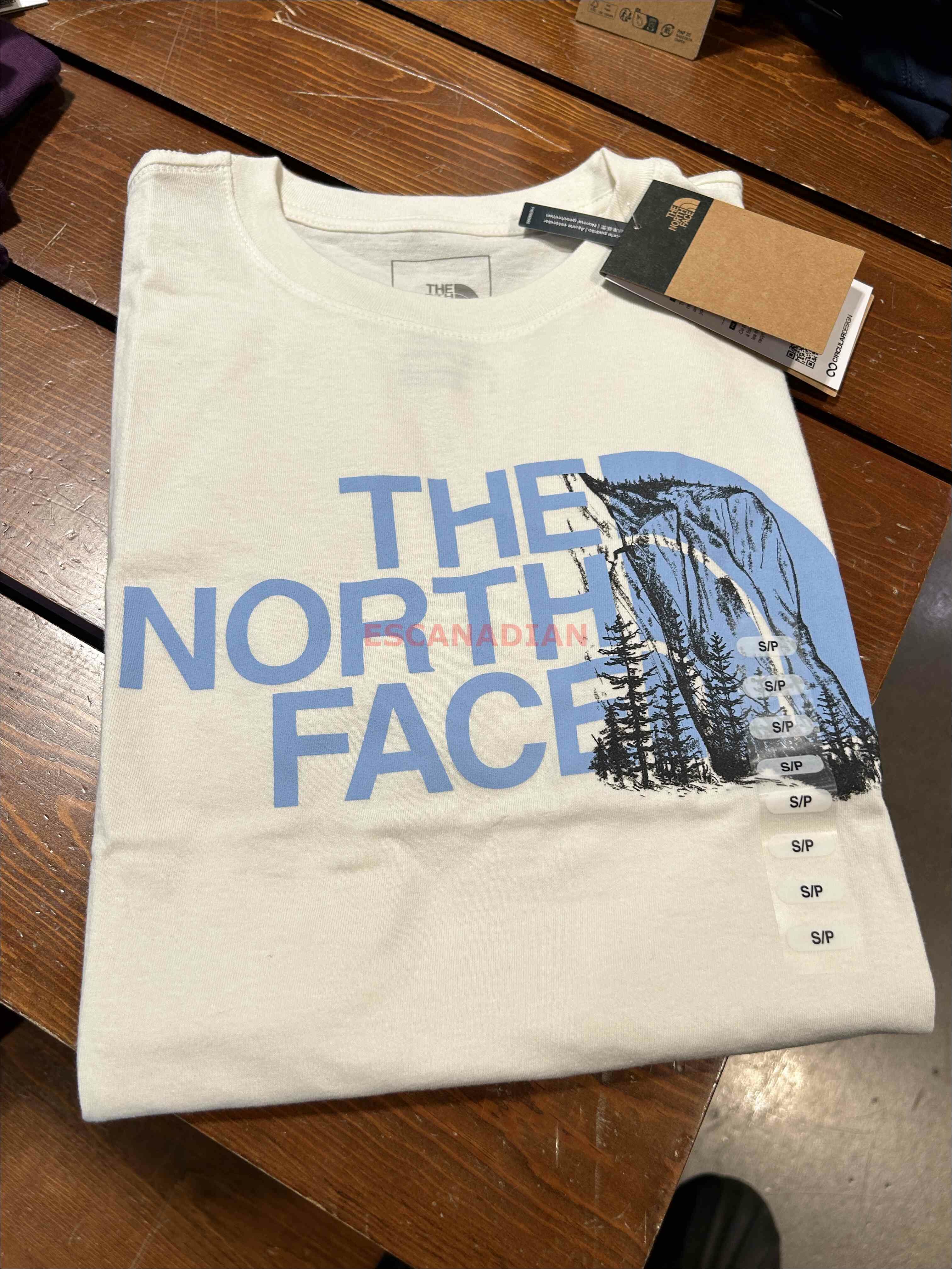 THE NORTH FACE 女大人 風景半山圖案 短TEE