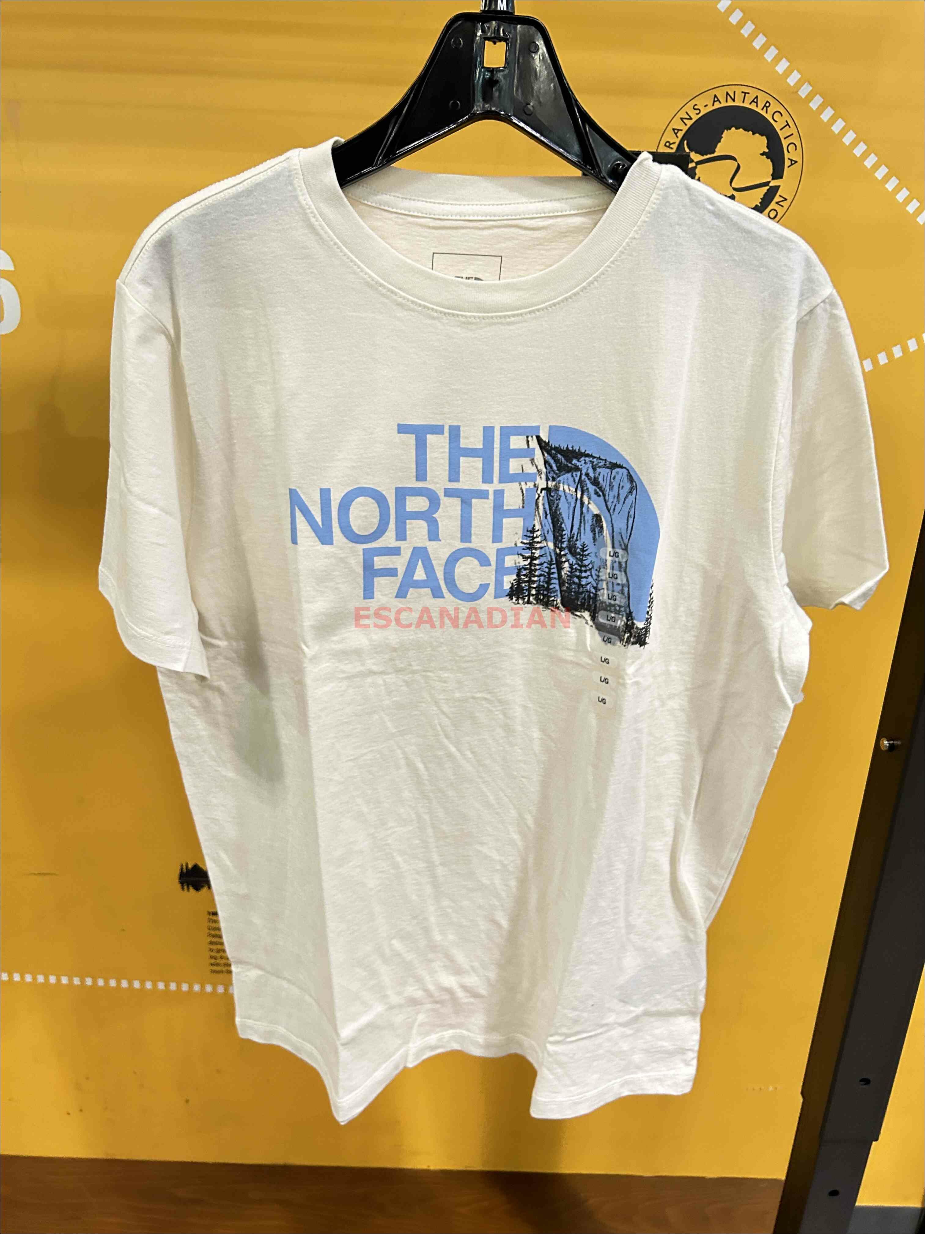 THE NORTH FACE 女大人 風景半山圖案 短TEE