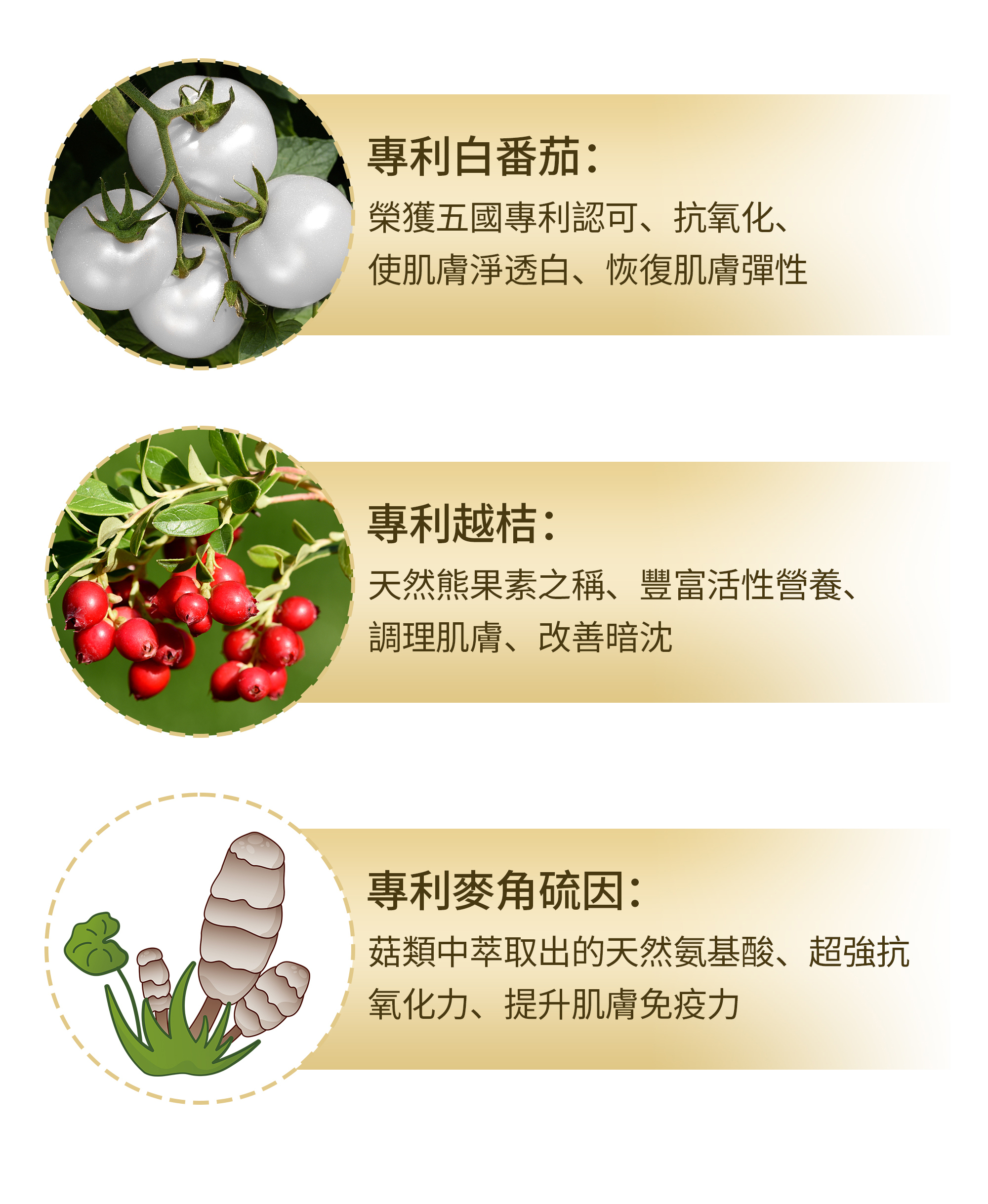 冰晶番茄,美白,膠囊,綠金,穀胱甘肽,越桔萃取物,賽洛美,鹼醯胺,