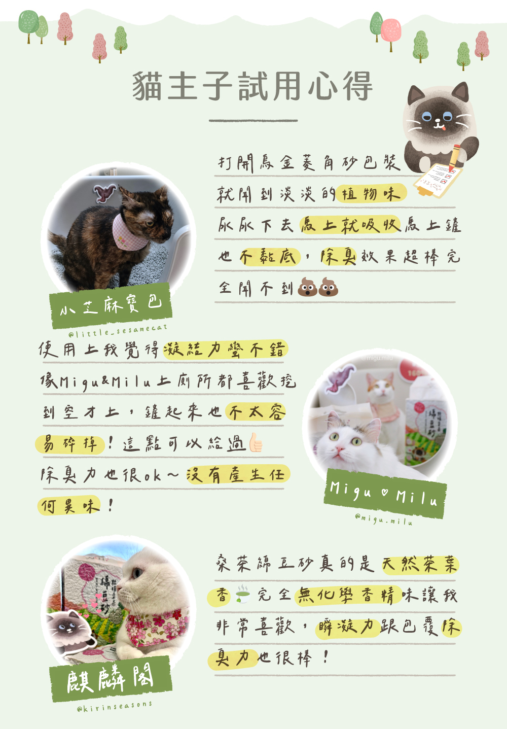 豆腐砂好評回饋