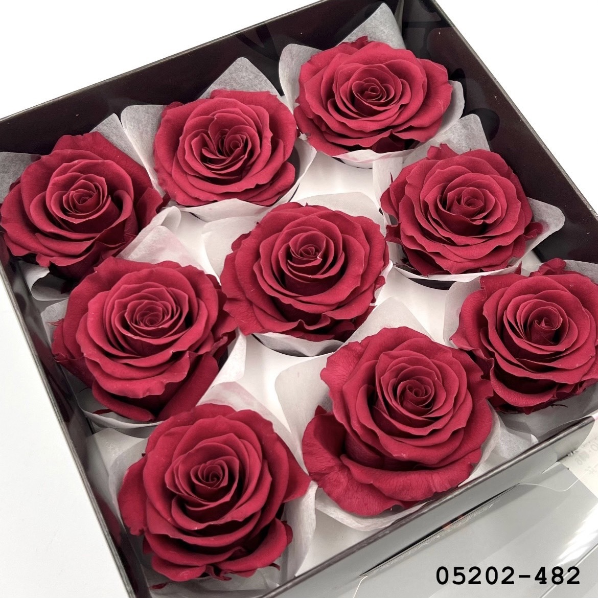 日本不凋大輪玫瑰(M-9朵) 05202-482