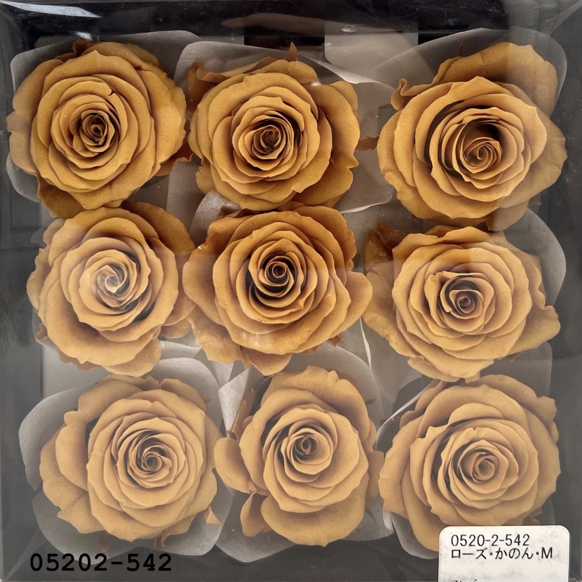 日本不凋大輪玫瑰(M-9朵) 05202-542