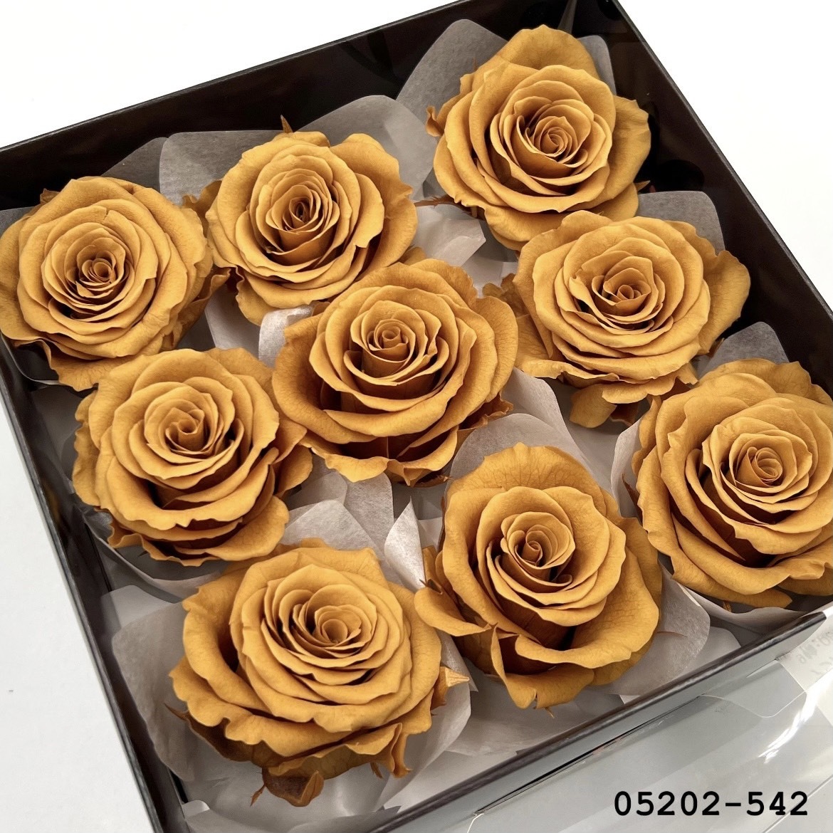 日本不凋大輪玫瑰(M-9朵) 05202-542