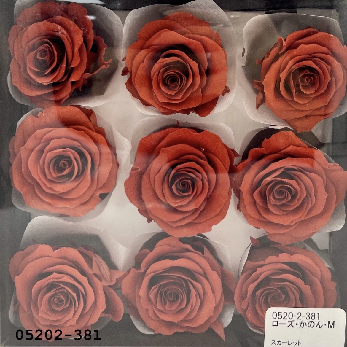日本不凋大輪玫瑰(M-9朵) 05202-381
