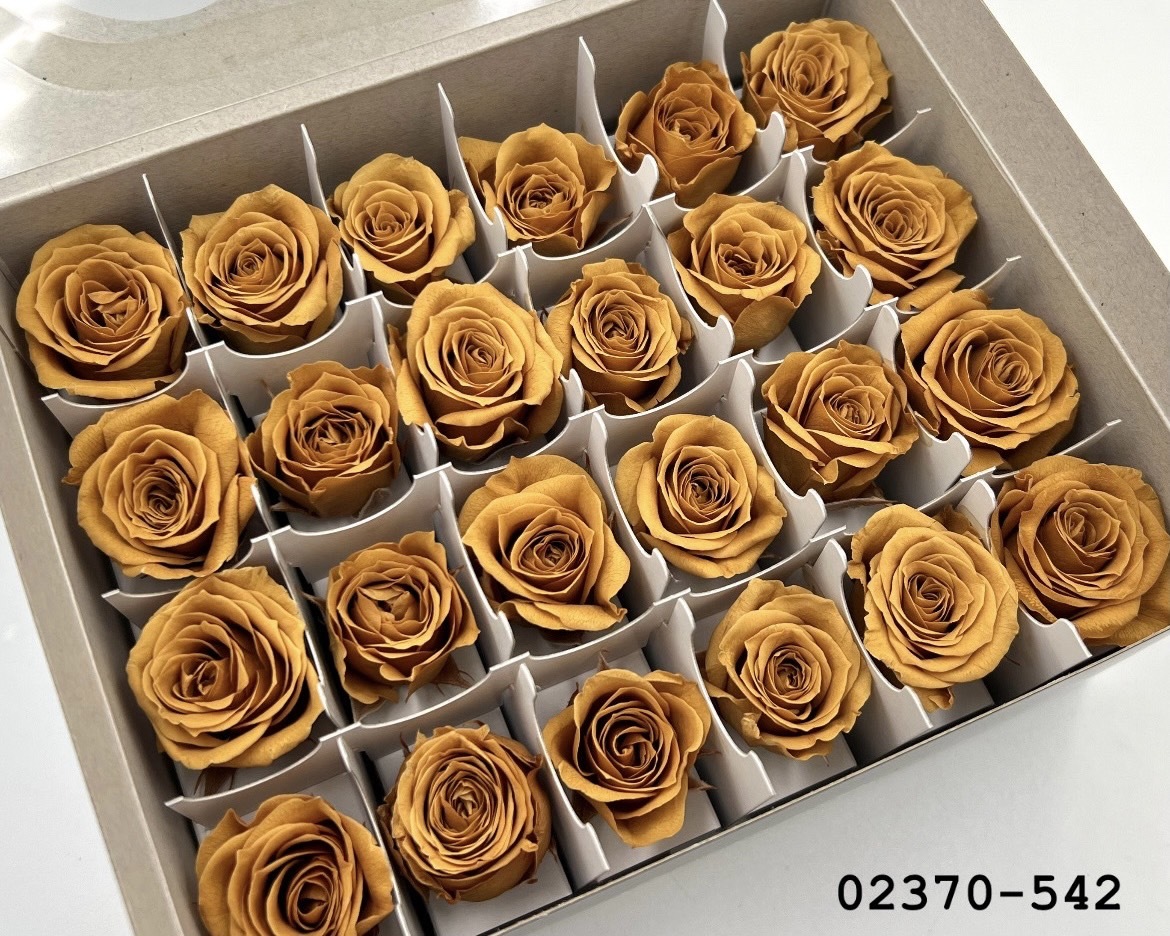 日本不凋迷你玫瑰(24朵) 02370-542