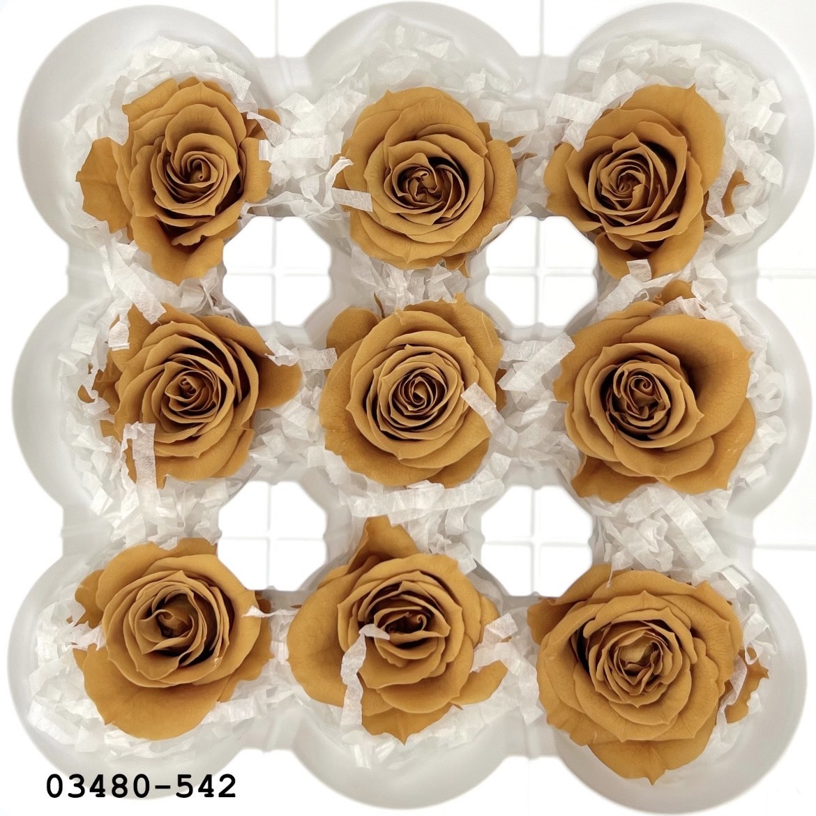 日本不凋中輪玫瑰(9朵) 03480-542