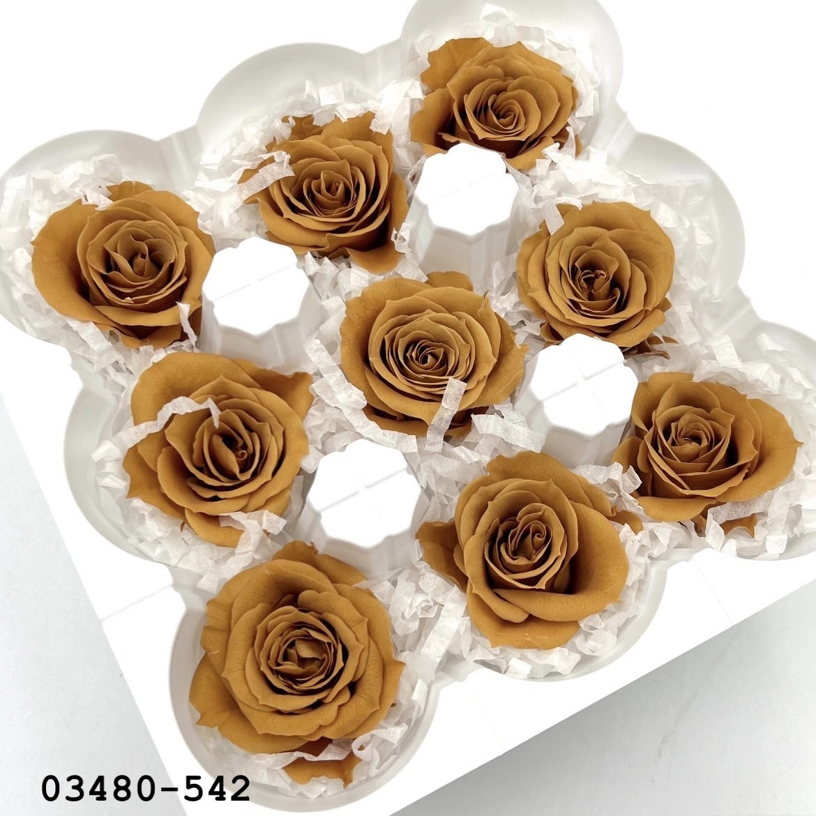 日本不凋中輪玫瑰(9朵) 03480-542