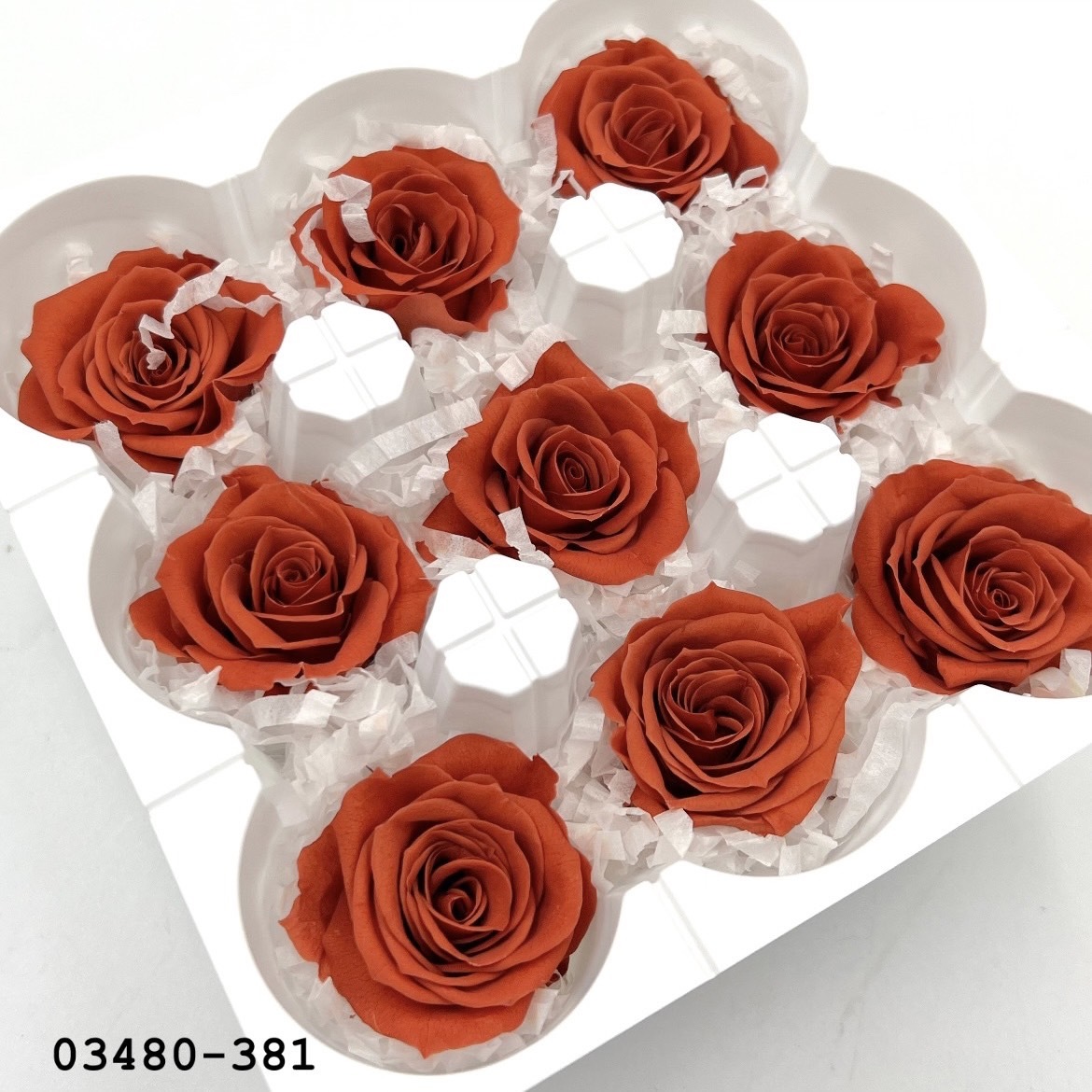 日本不凋中輪玫瑰(9朵) 03480-381