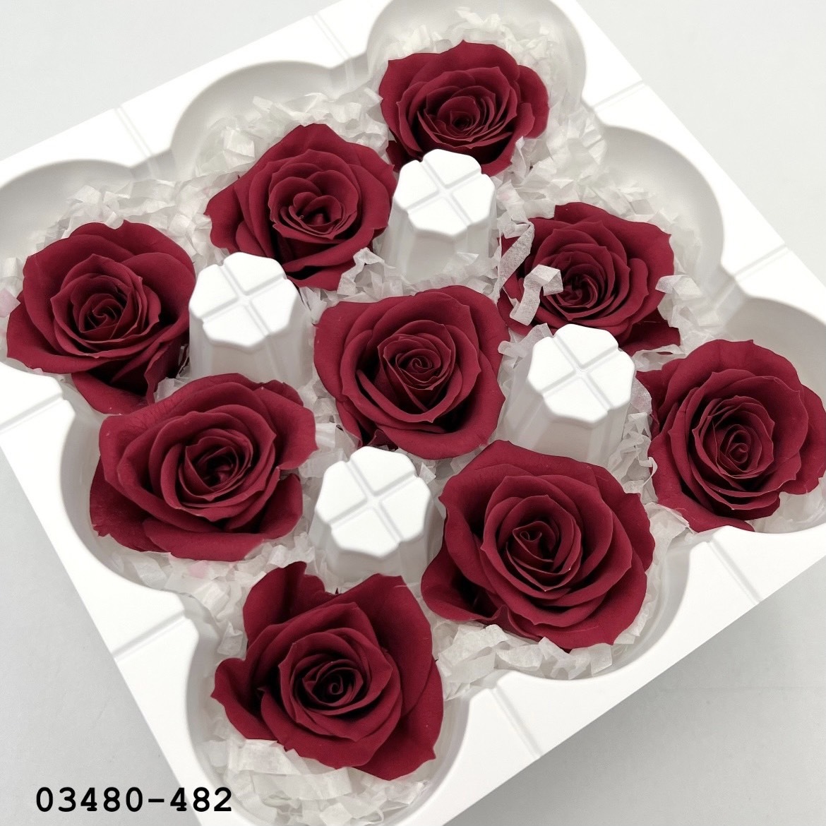 日本不凋中輪玫瑰(9朵) 03480-482