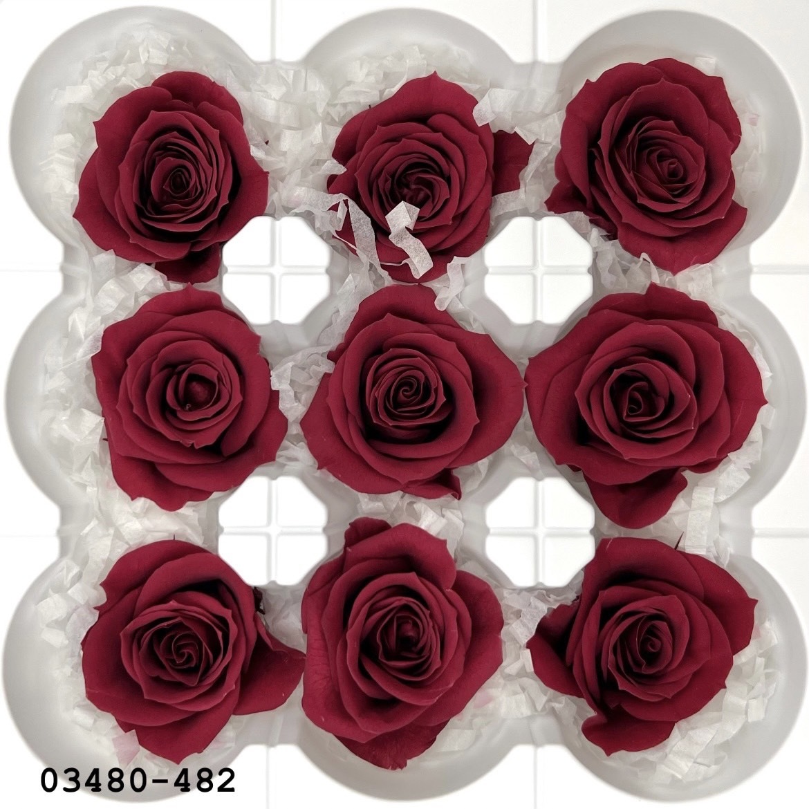 日本不凋中輪玫瑰(9朵) 03480-482