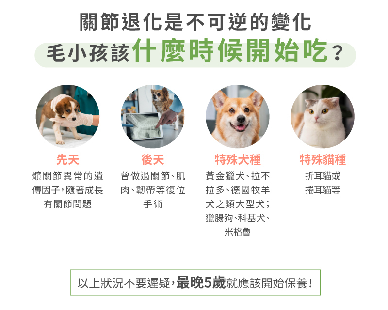關節退化不可逆,毛小孩什麼時候開始吃