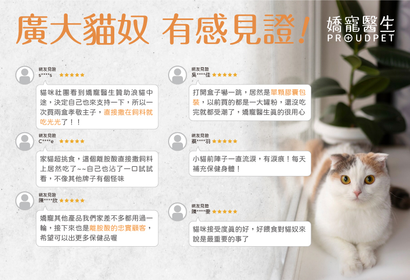 顧客好評有感見證