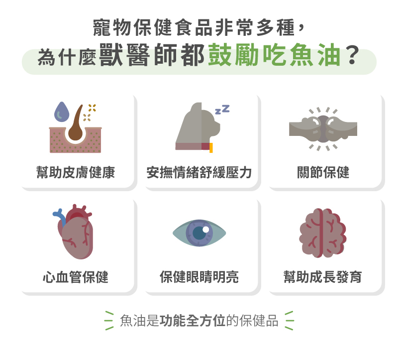 獸醫師推薦吃魚油好處,護膚,保健眼睛心血管關節,腦部發育,舒緩情緒壓力