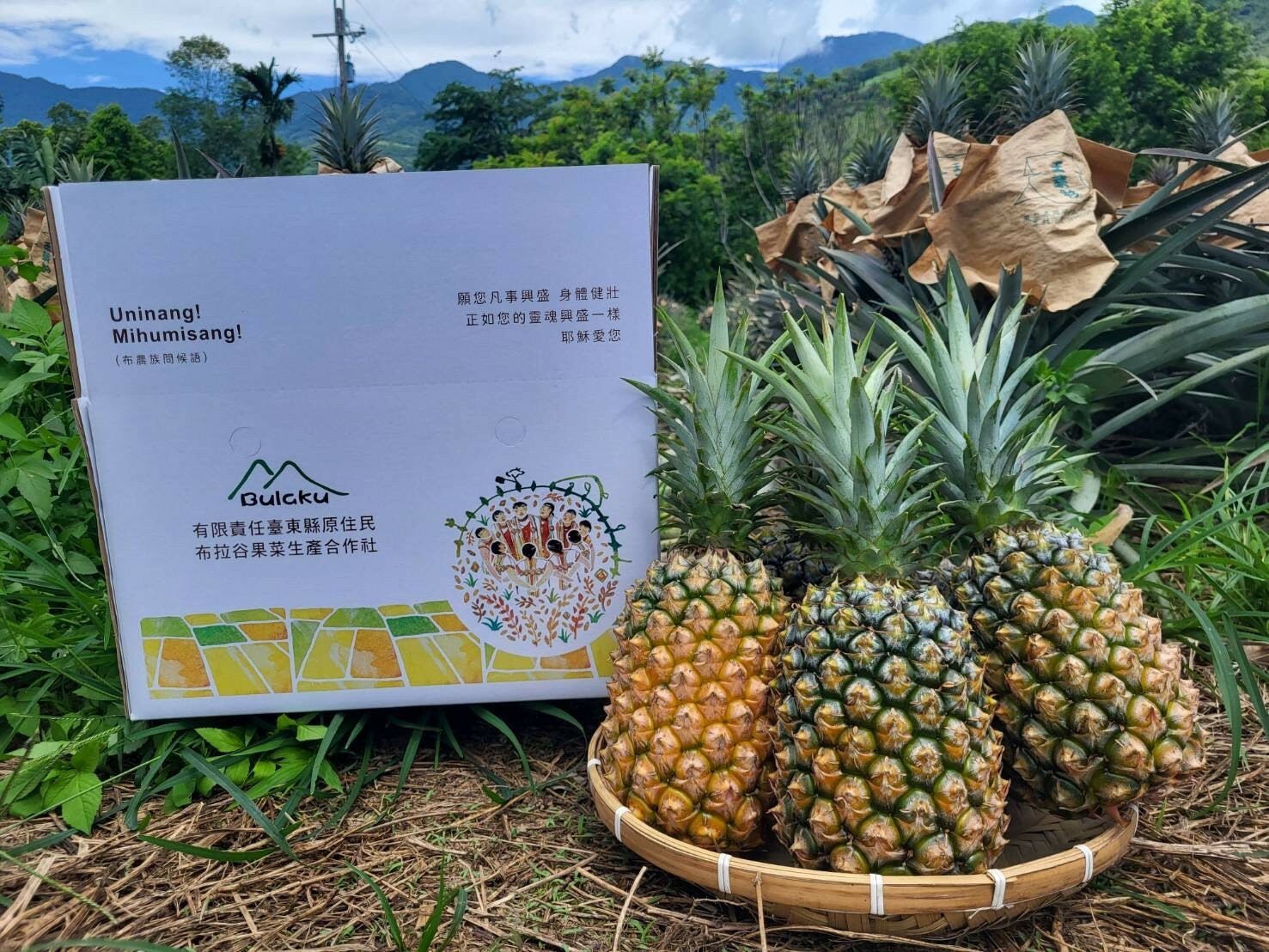 紅葉谷嚴選-部落無毒金鑽鳳梨