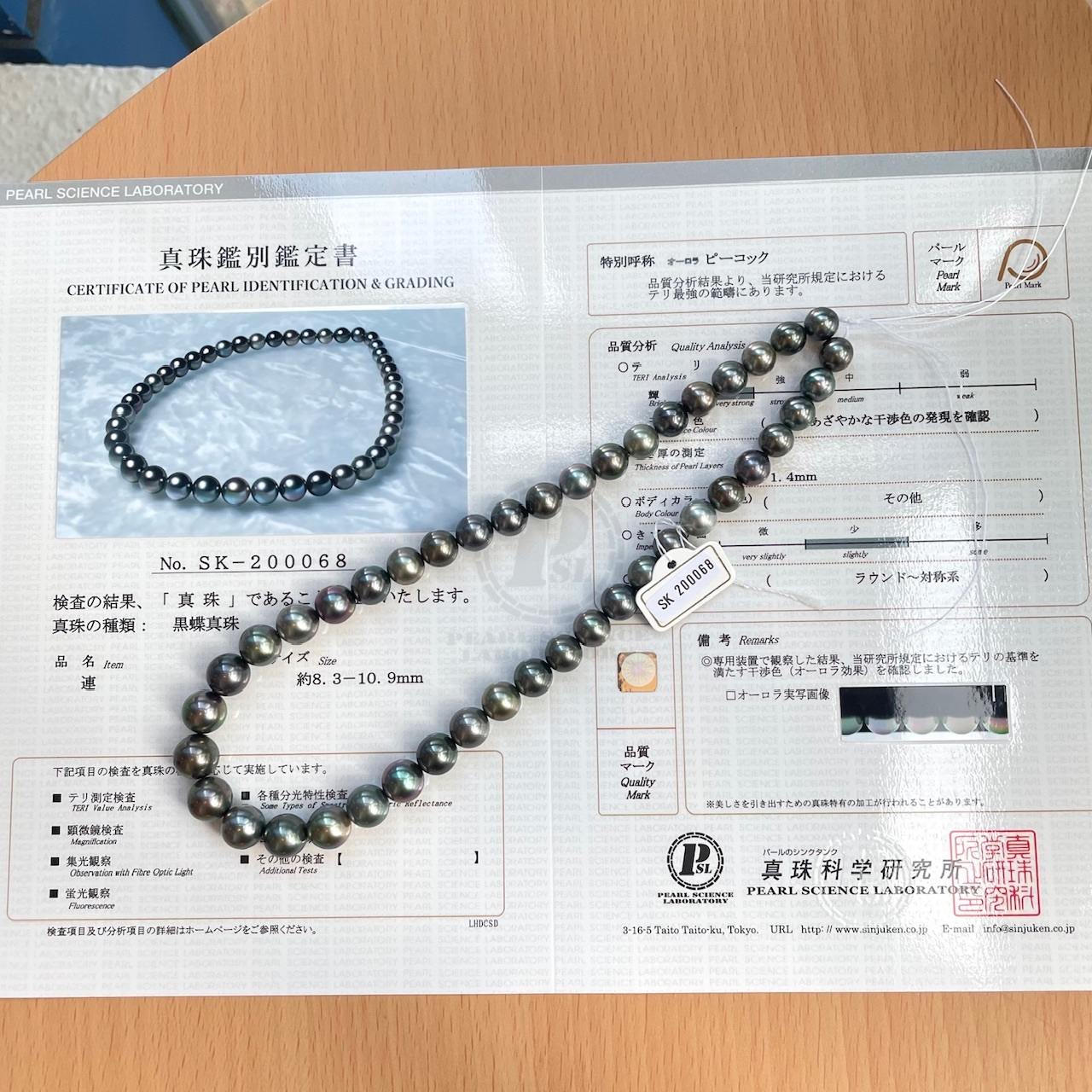 混彩系- 極光孔雀綠大溪地黑珍珠項鍊8-11mm (帶真科研證書)