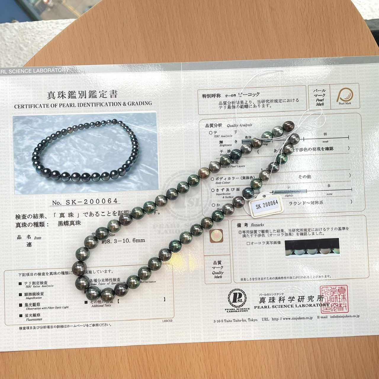 孔雀16 9月26日順次発売｜CONVERSE × SHINYAKOZUKA 