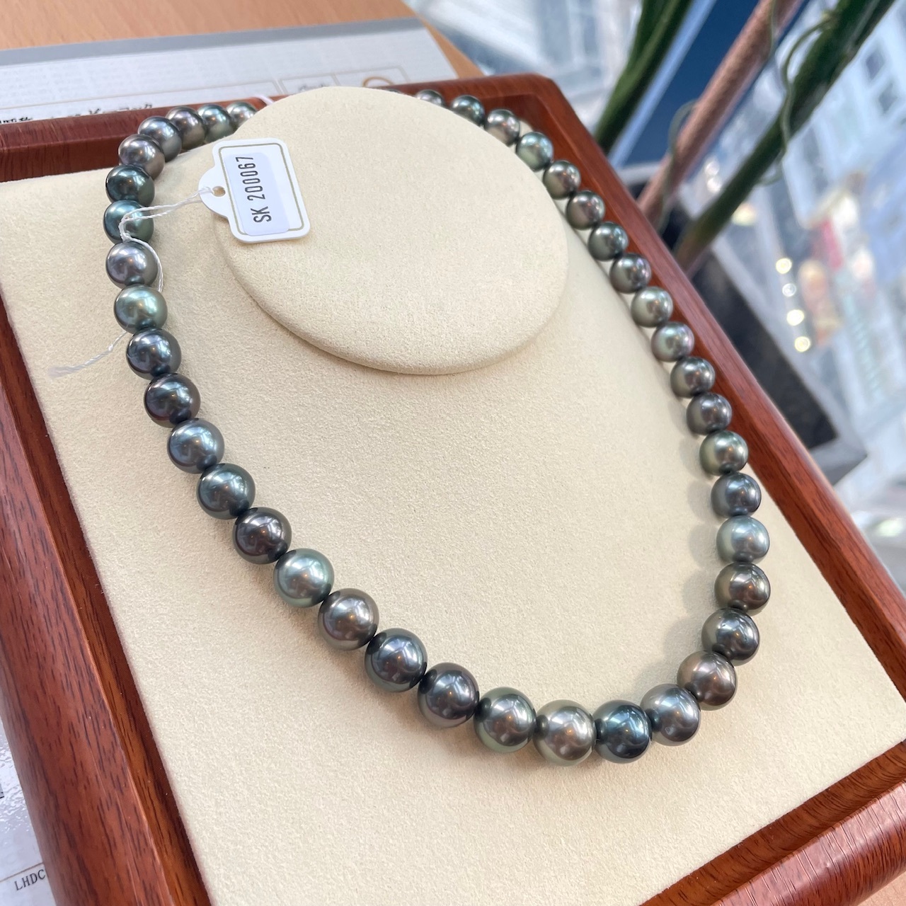 Peacock Morandi color -Tahitian Pearl Necklace 8-11mm