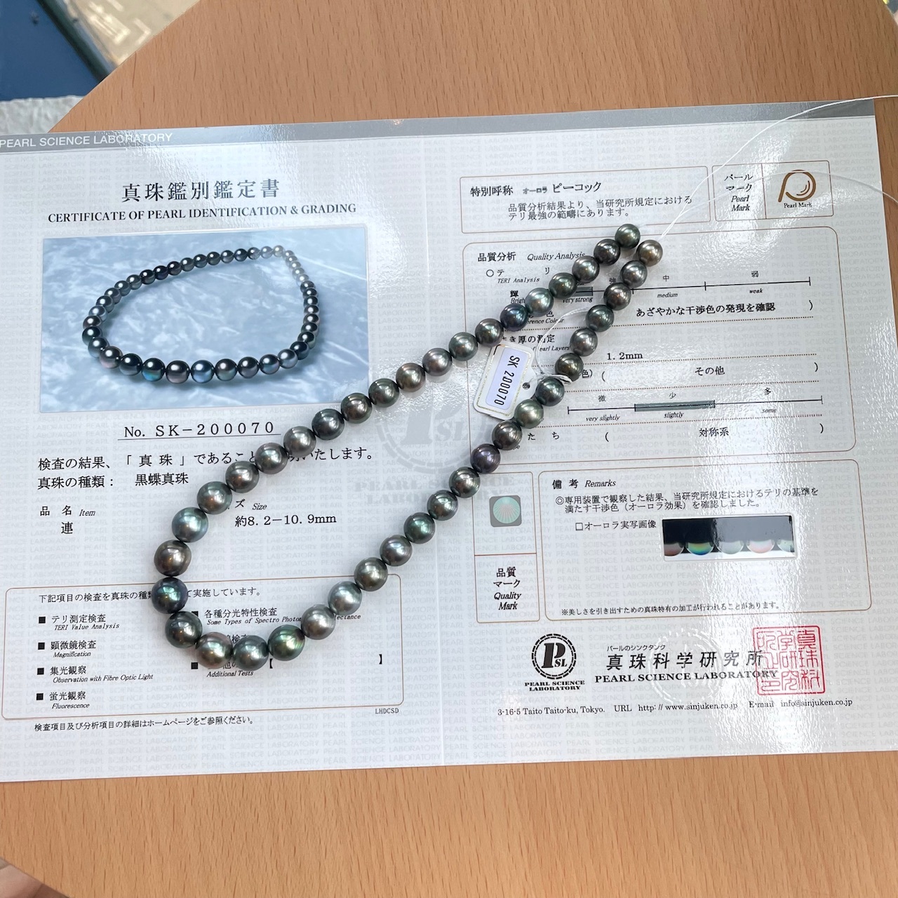 莫蘭迪色系 - 極光孔雀綠大溪地黑珍珠項鍊8-11mm (帶真科研證書)