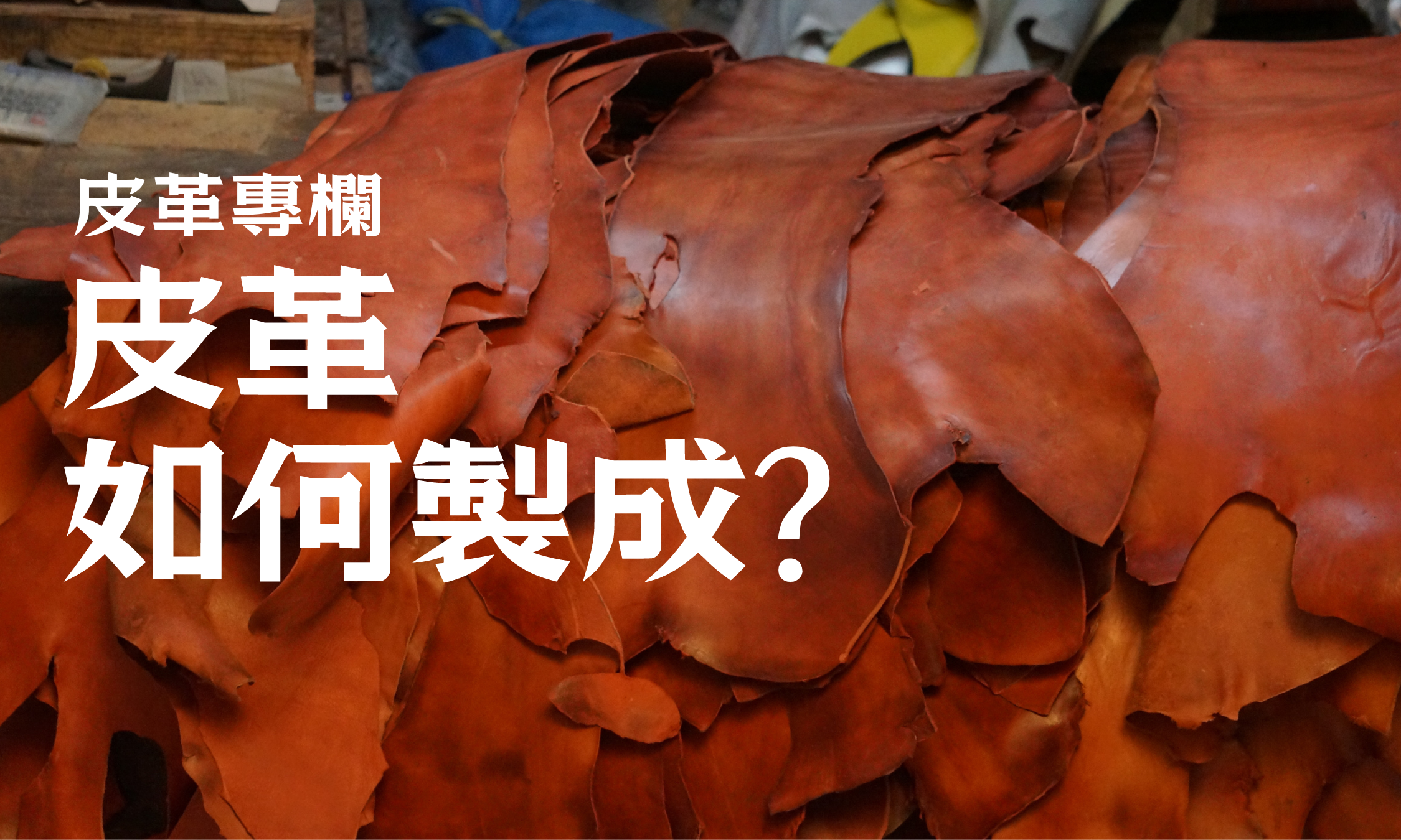 皮革專欄｜皮革如何製成？