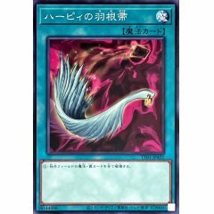 TT01-JPA21 ハーピィの羽根帚 神鷹羽毛掃