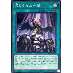 TT01-JPA24 禁じられた一滴 禁忌的一滴