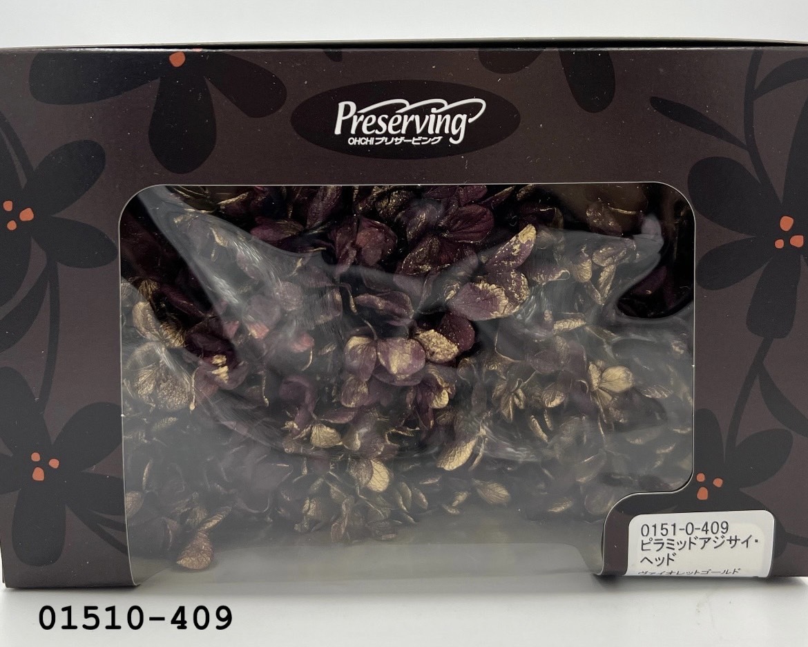 日本不凋鑲金中葉繡球 01510-409