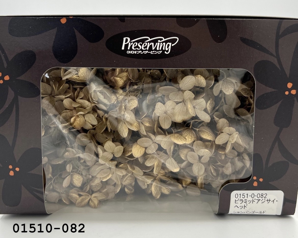 (特價)日本不凋鑲金中葉繡球01510-082