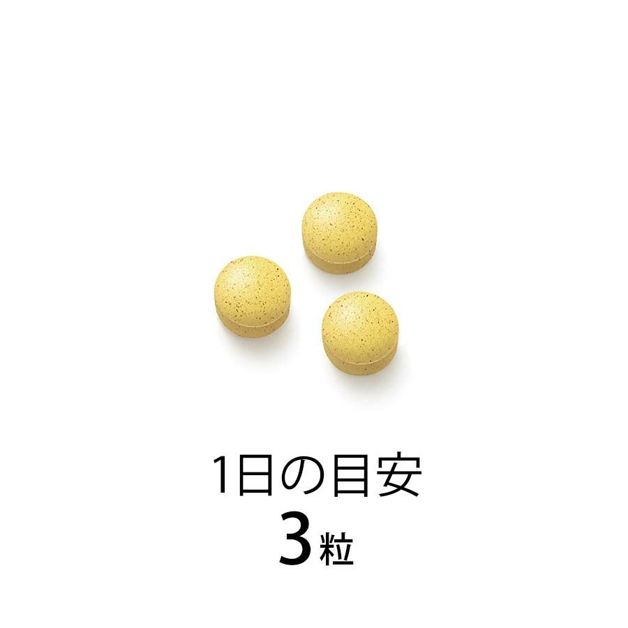 FANCL Multi Vitamins & Minerals Base POWER 多元維他命與礦物質