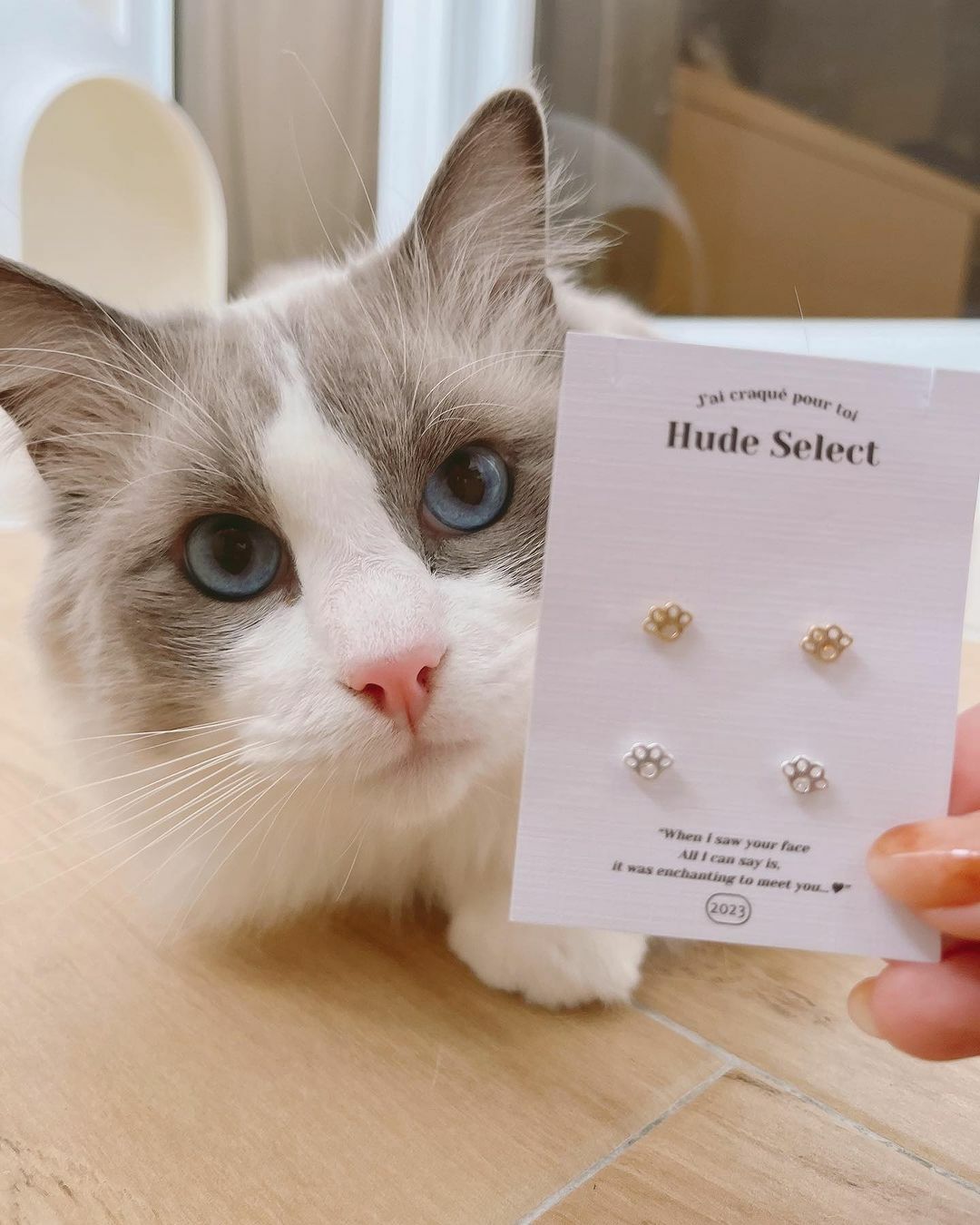 可愛貓腳印寵物腳印純銀耳環