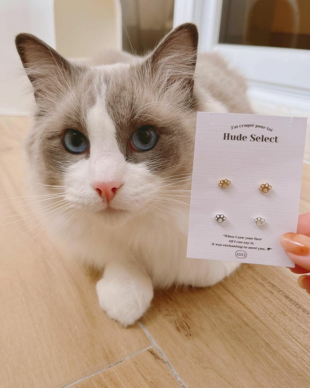 可愛貓腳印寵物腳印純銀耳環