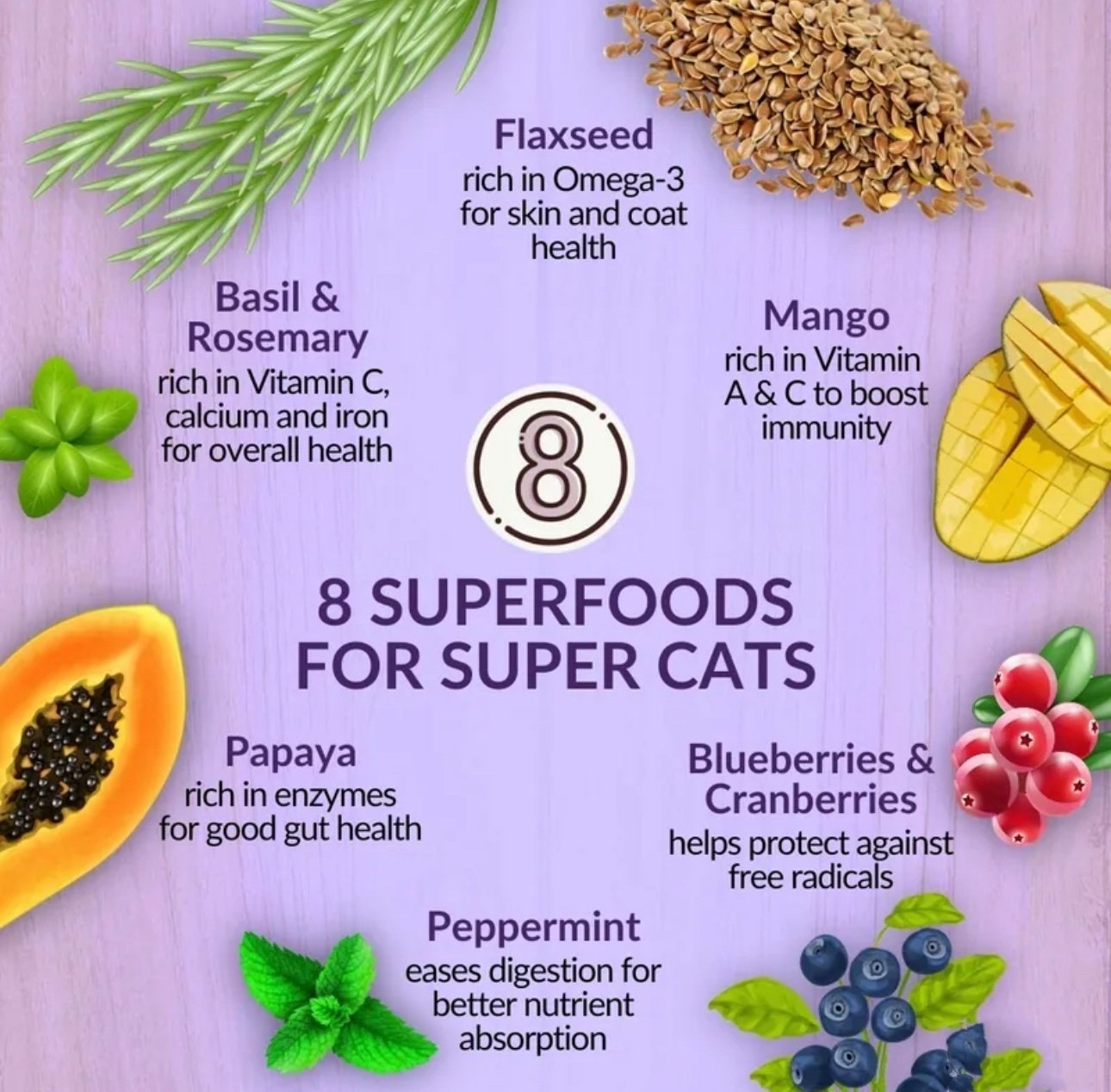 紐西蘭純天然Wishbone OCEAN 海洋帝王三文魚成貓配方 (4lb/10lbs)