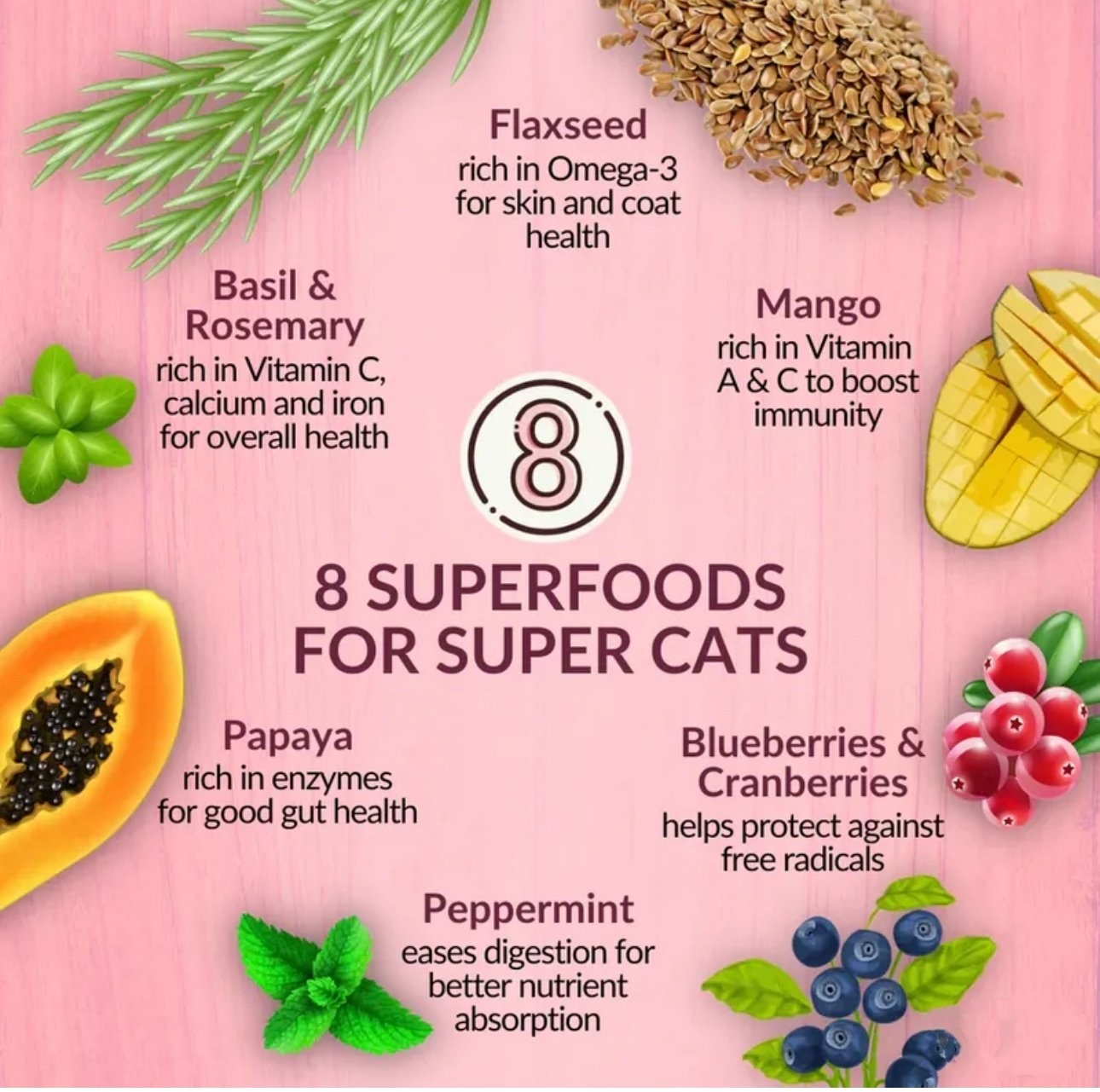 紐西蘭純天然Wishbone GRAZE 草飼牛肉成貓配方 (4lb/10lbs)