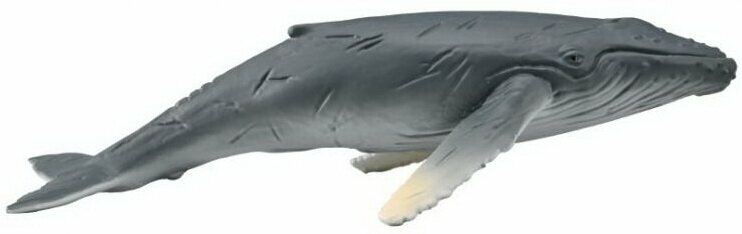 《 COLLECTA 》  collectA 幼座頭鯨~英國高擬真模型-R88963