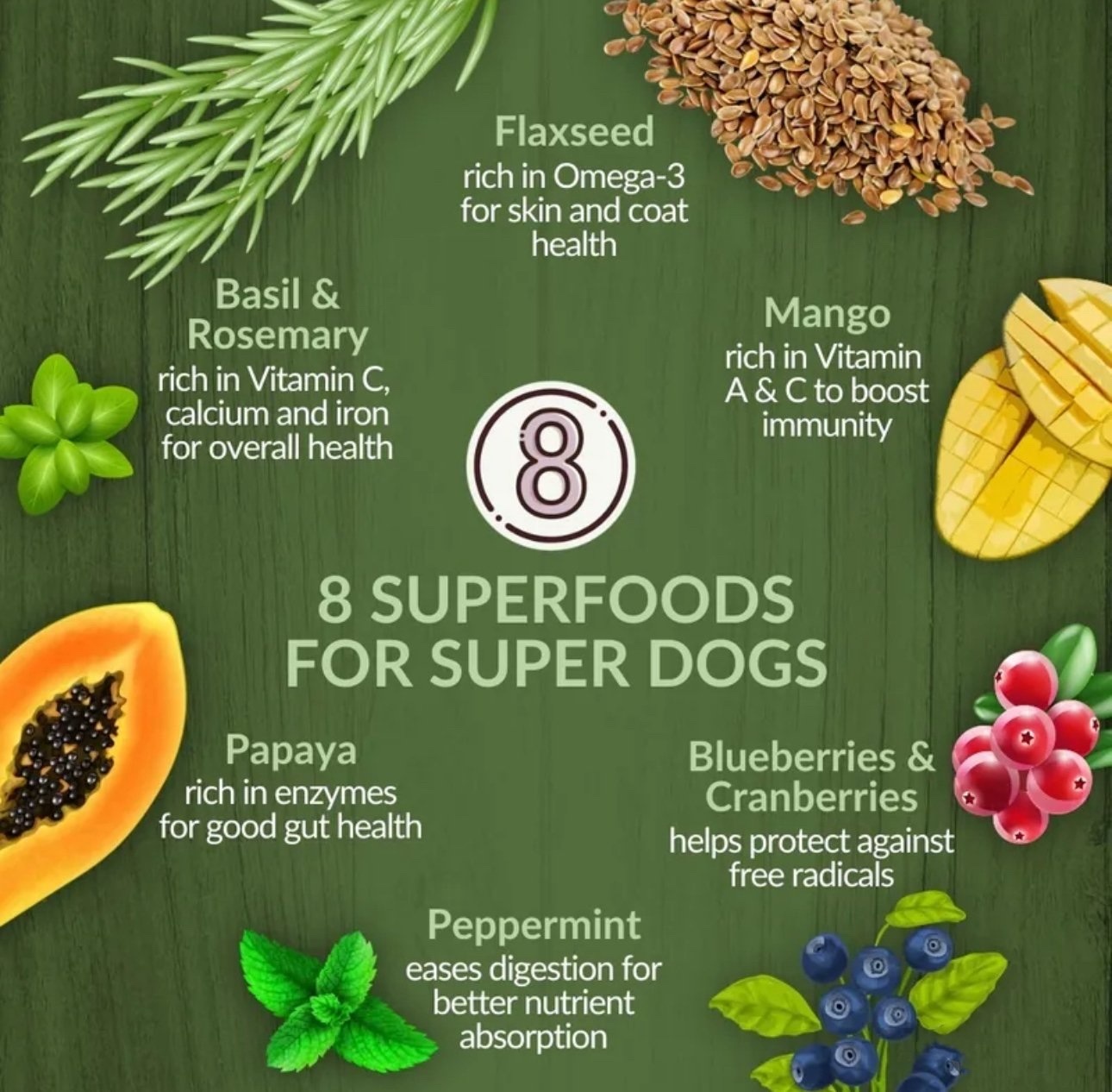 紐西蘭純天然Wishbone PASTURE 羊肉成犬配方 (4lbs/20lb)