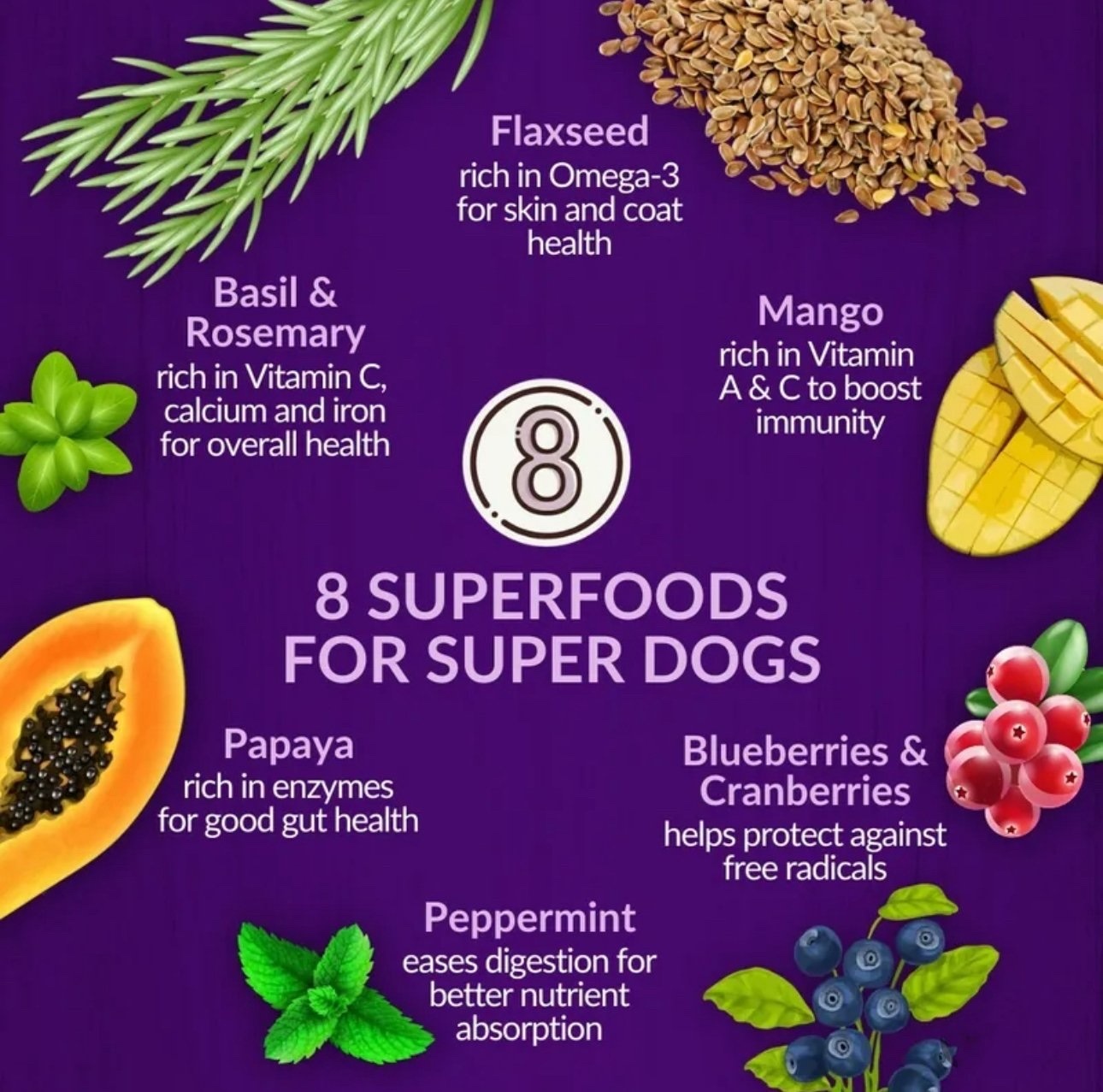 紐西蘭純天然Wishbone OCEAN 海洋魚成犬配方 (4lb/20lbs)