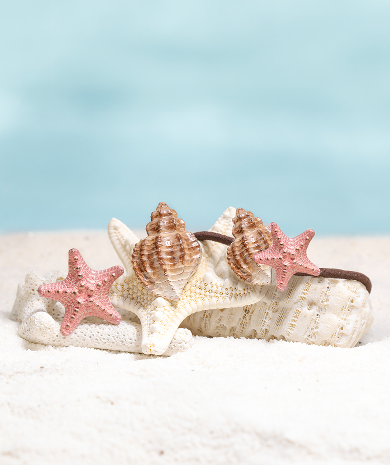 貝殼海星耳環/髮圈