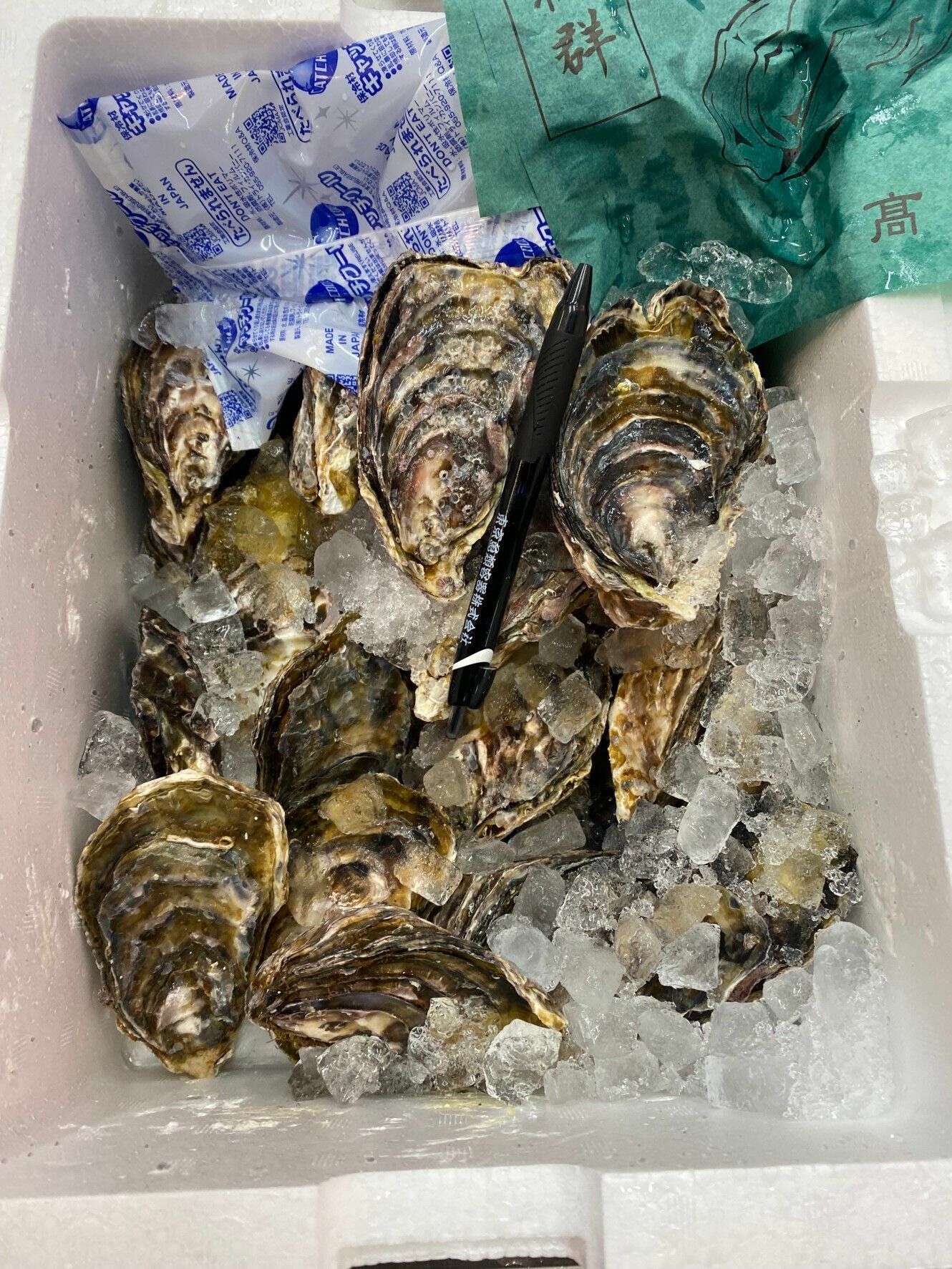 兵庫 室津 三倍体 牡蠣