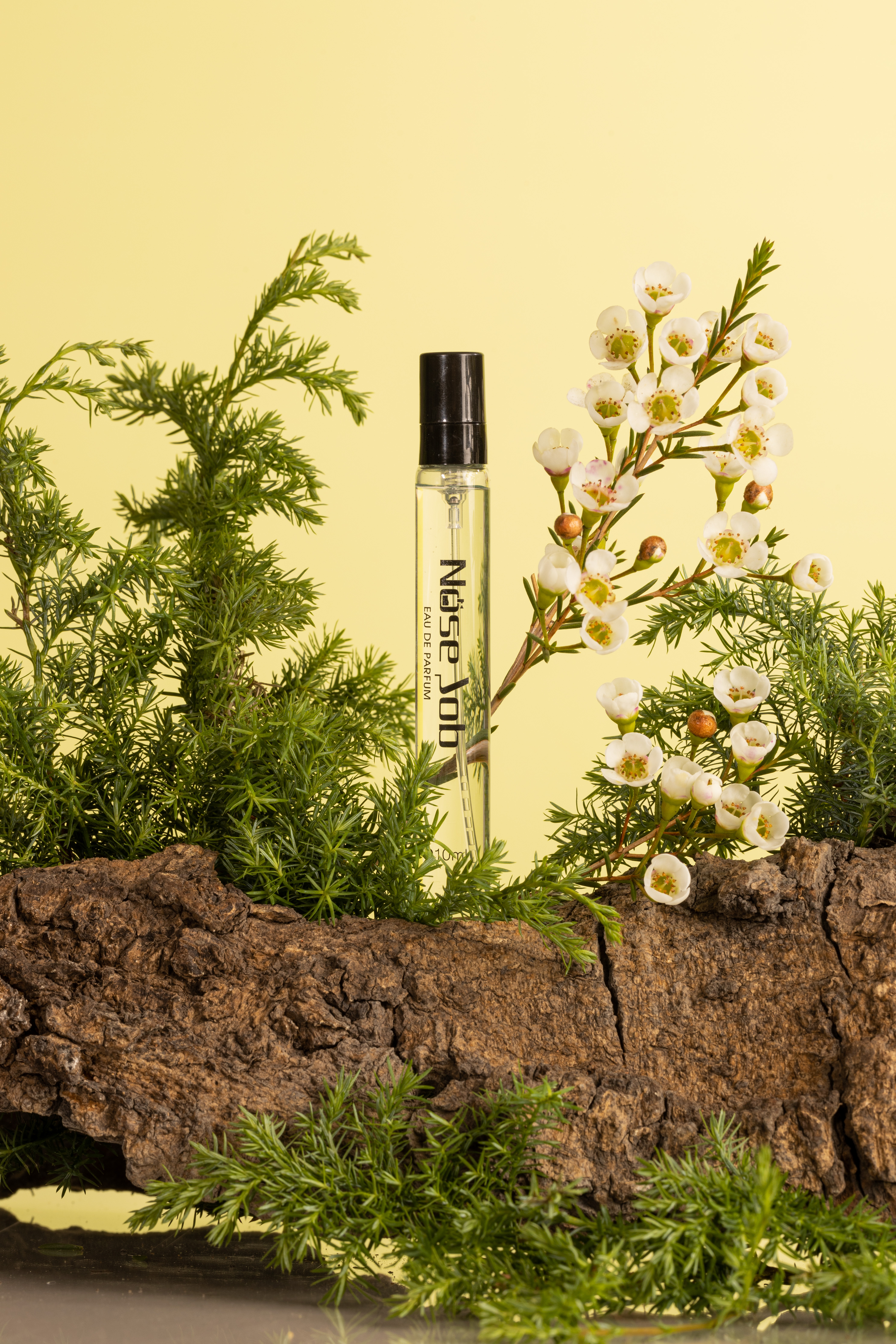 15 第五號淡香水