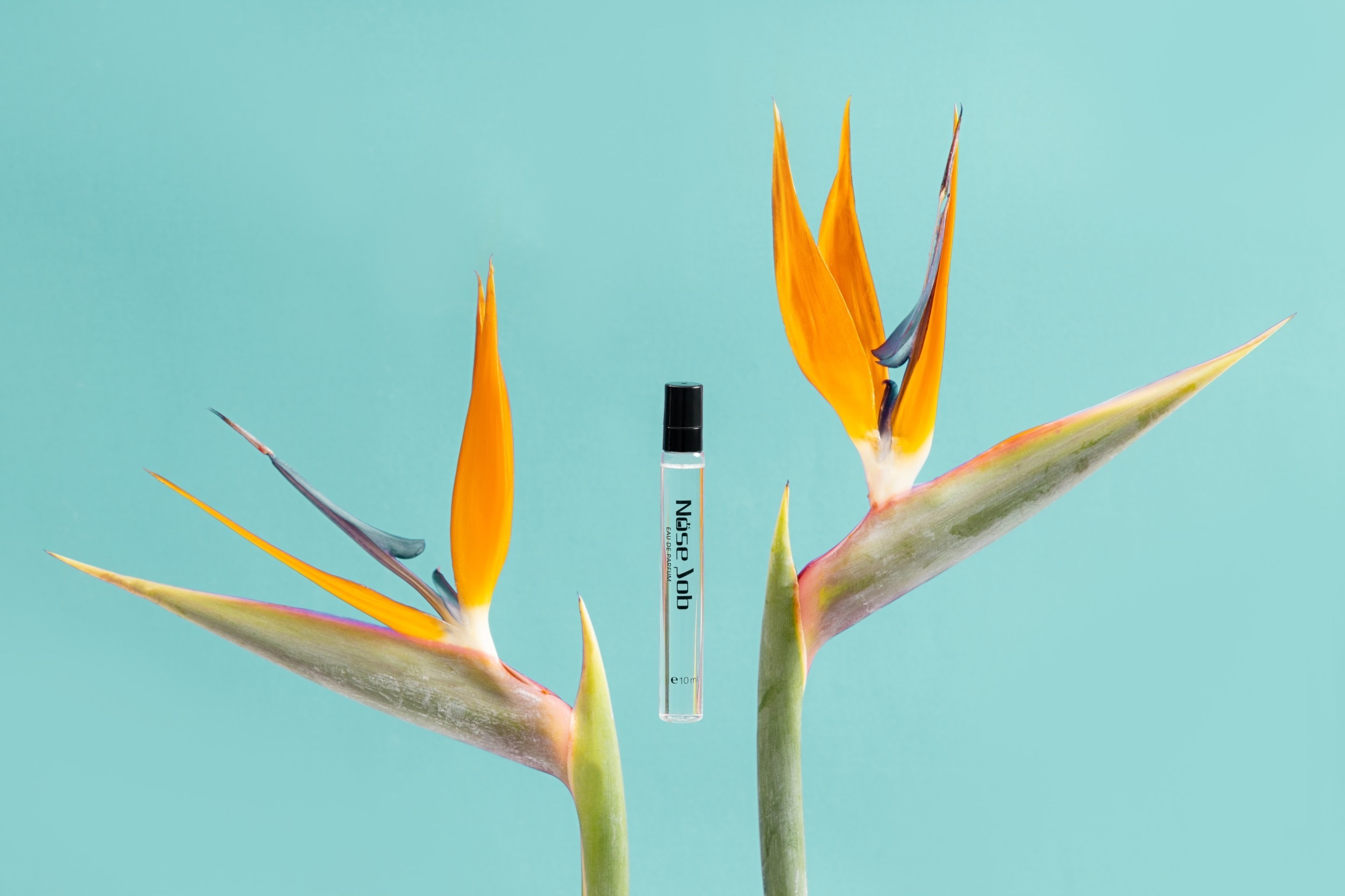 17 綠色氣息淡香水