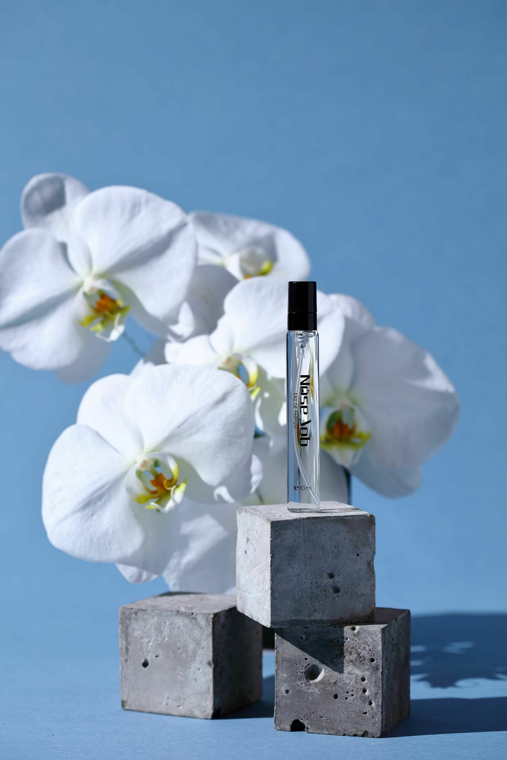 34 狄倫正藍淡香水