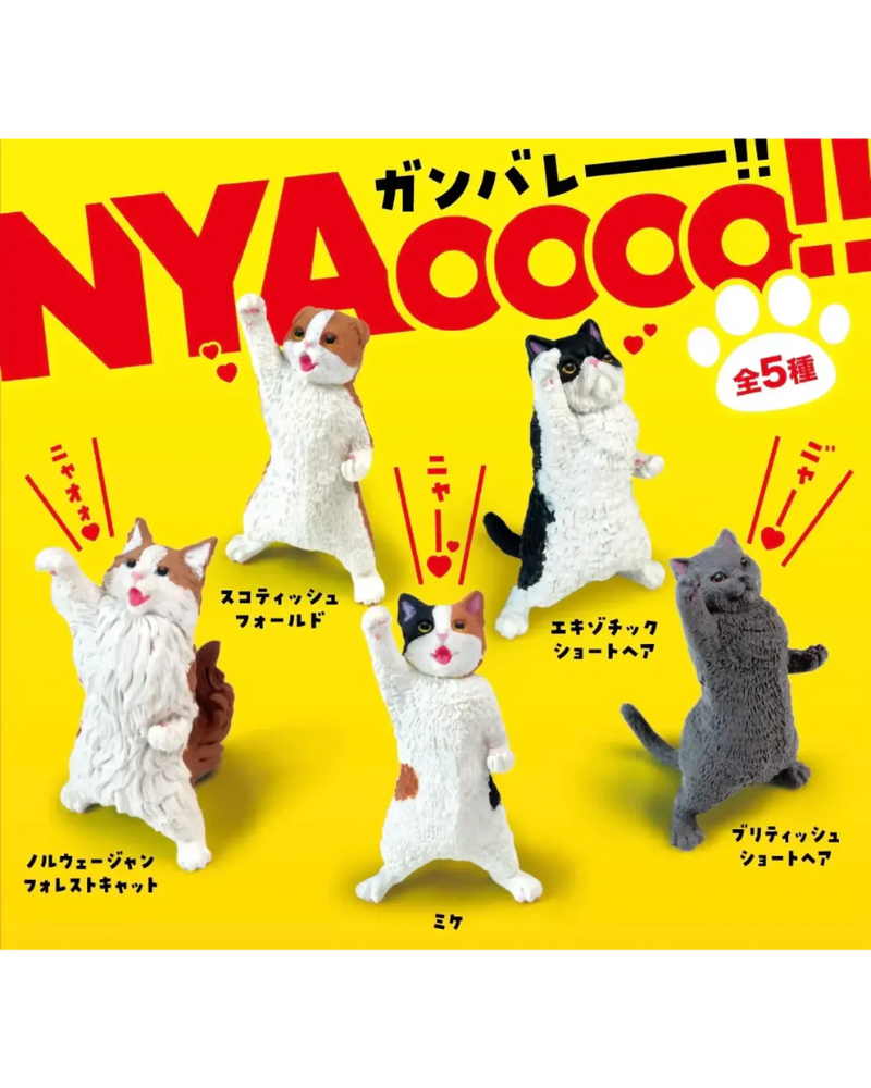 YELL 加油吶喊貓咪公仔盲抽